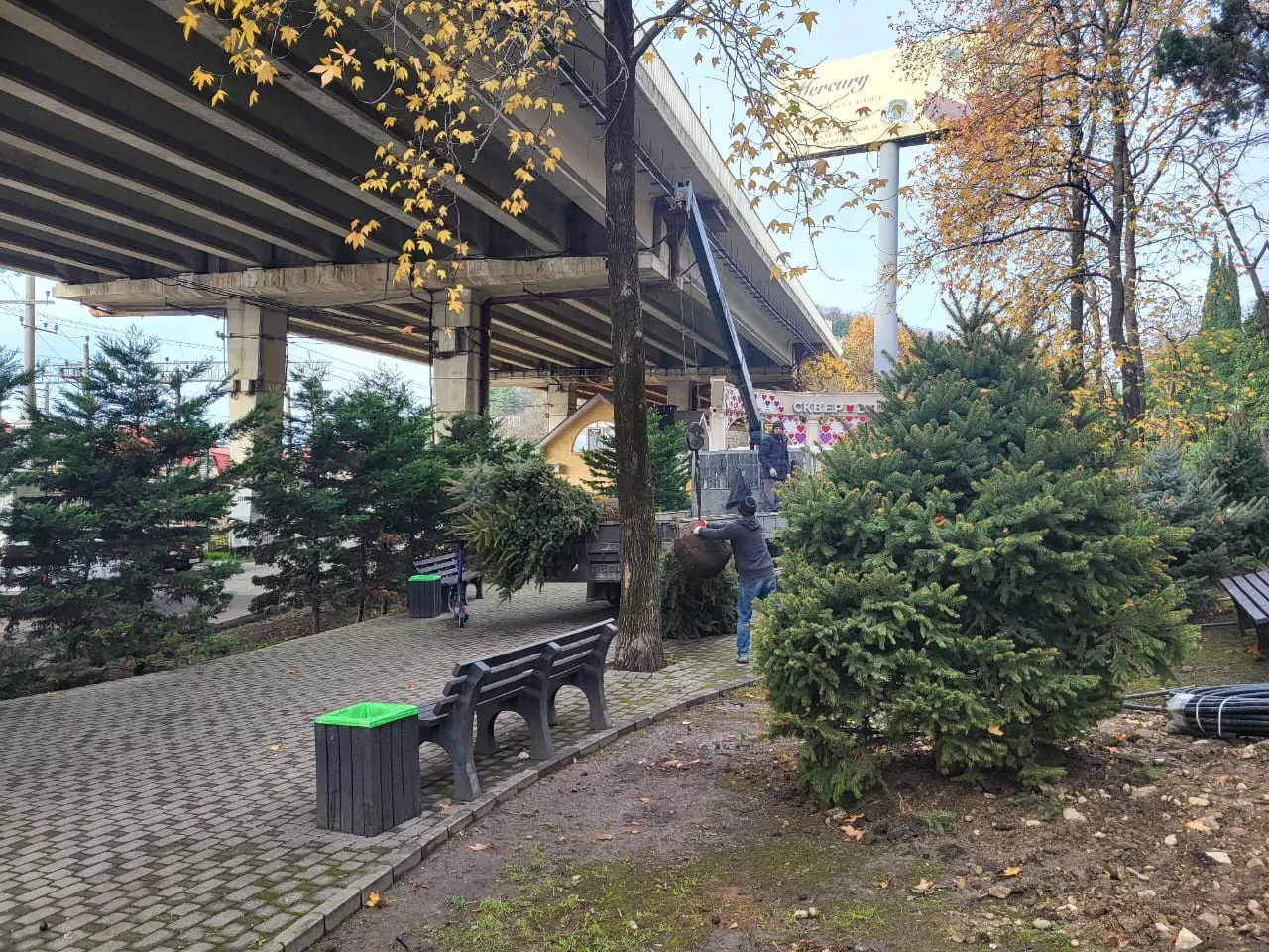  Администрация города Сочи