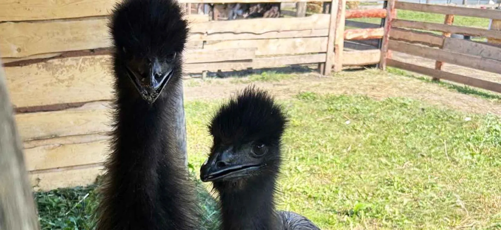 Министерство предпринимательства и туризма Республики Башкортостан