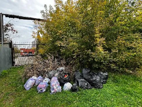 Министерство экономического развития Алтайского края