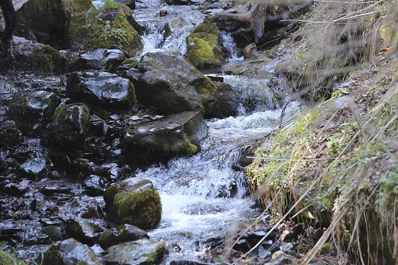 В&nbsp;Ингушетии запустят общереспубликанский экологический месячник