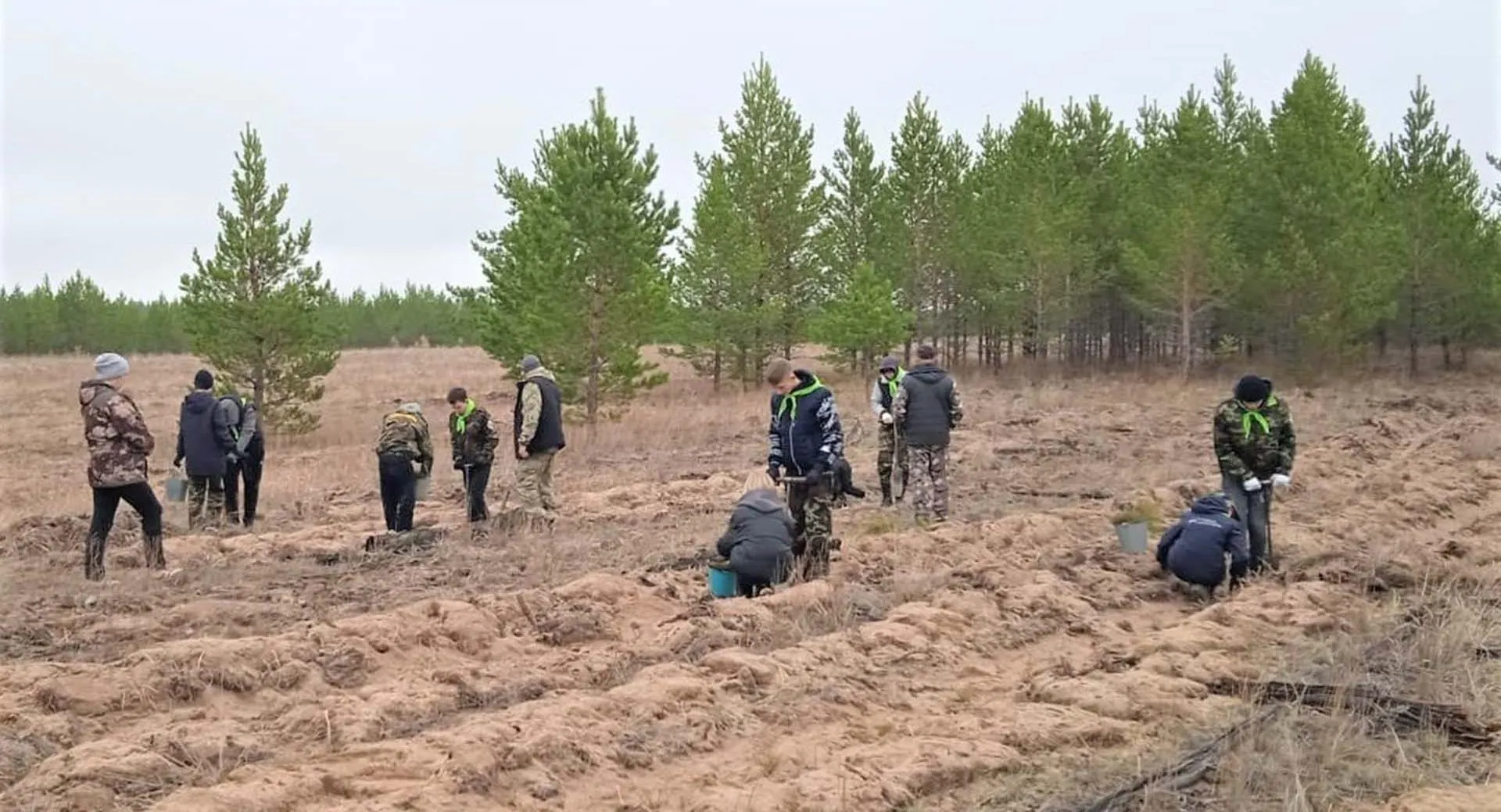 Министерство природных ресурсов и экологии Алтайского края