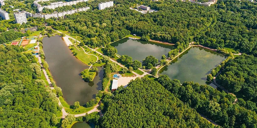 В&nbsp;Терлецкой дубраве Москвы проведут мастер-классы для&nbsp;детей
