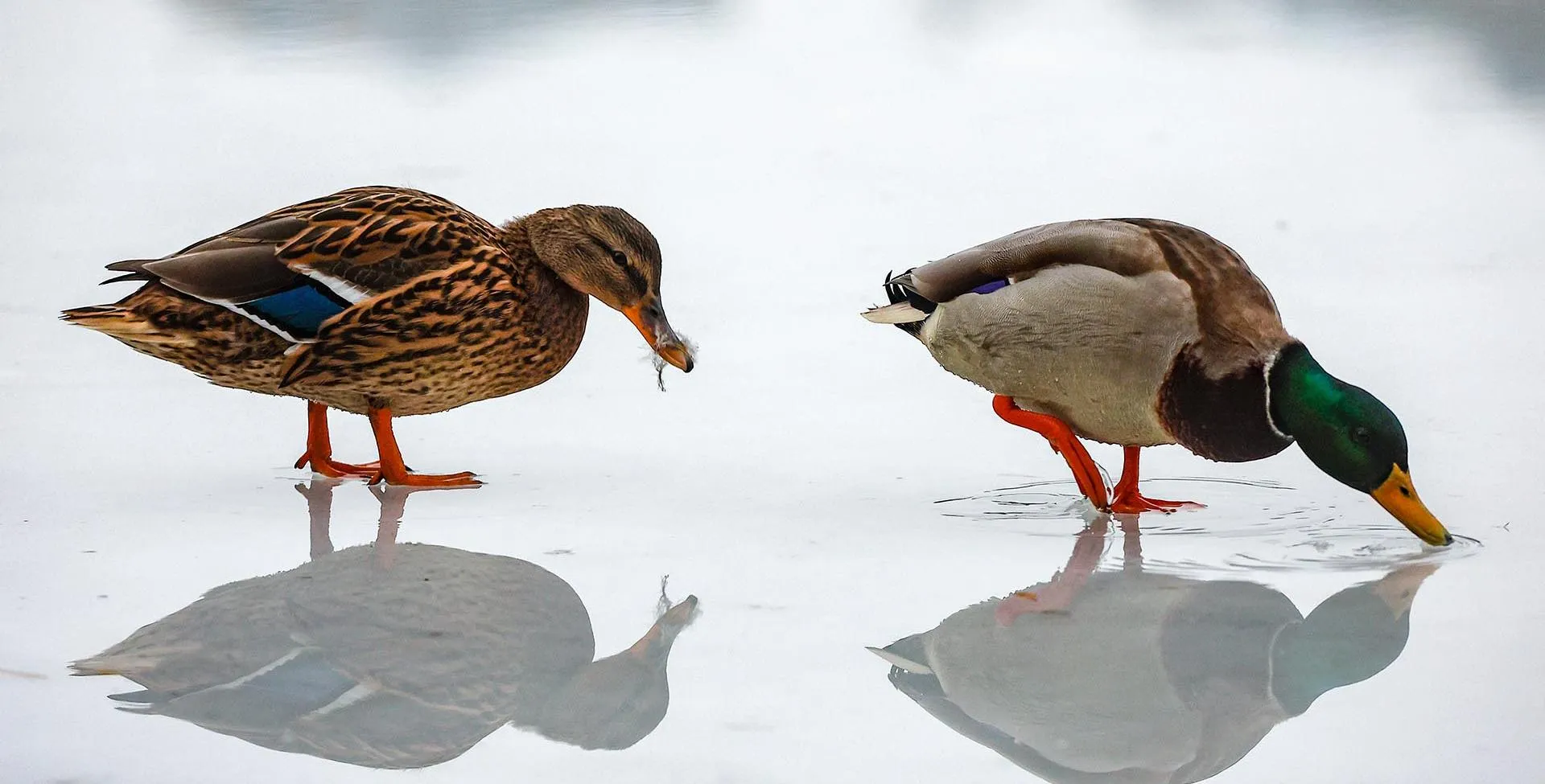 Сергей Булкин/ТАСС