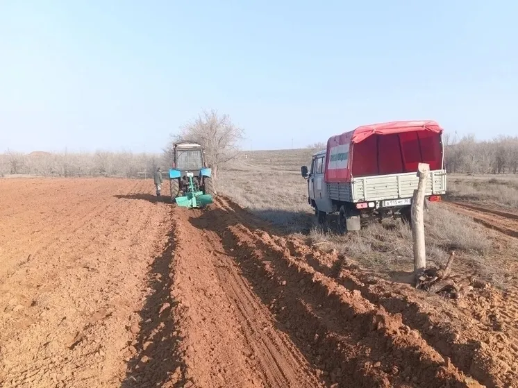 В&nbsp;Астраханской области укоренят более 145&nbsp;тысяч деревьев