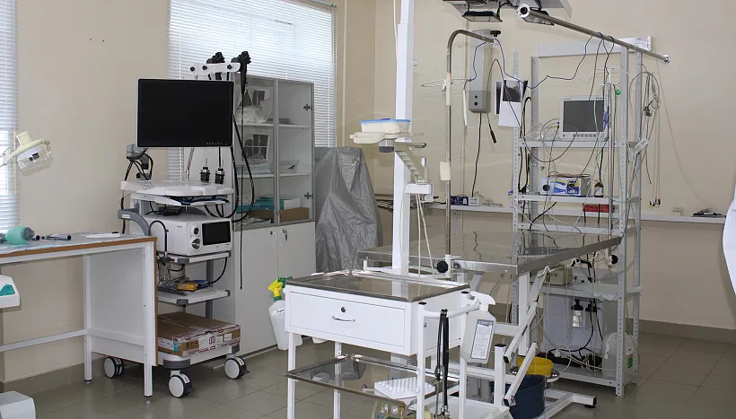 В&nbsp;Чебоксарах открыли операционный кабинет для&nbsp;домашних животных и&nbsp;птиц