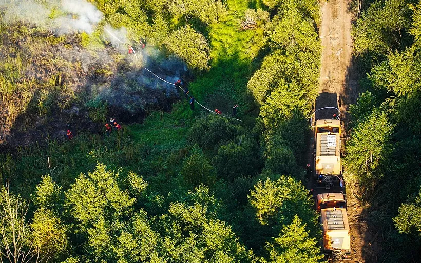 Для&nbsp;мониторинга лесных пожаров в&nbsp;Волгоградской области подключат семь камер