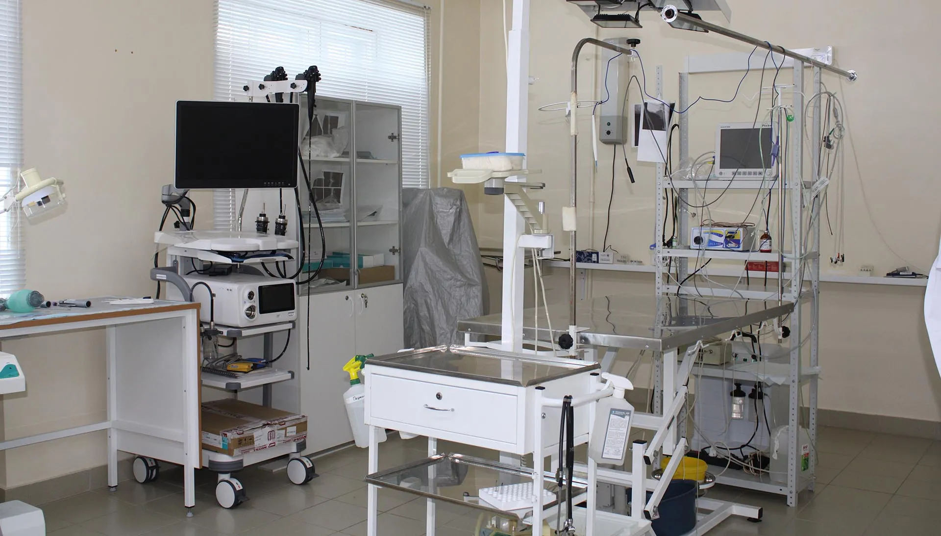 Государственная ветеринарная служба Чувашской Республики