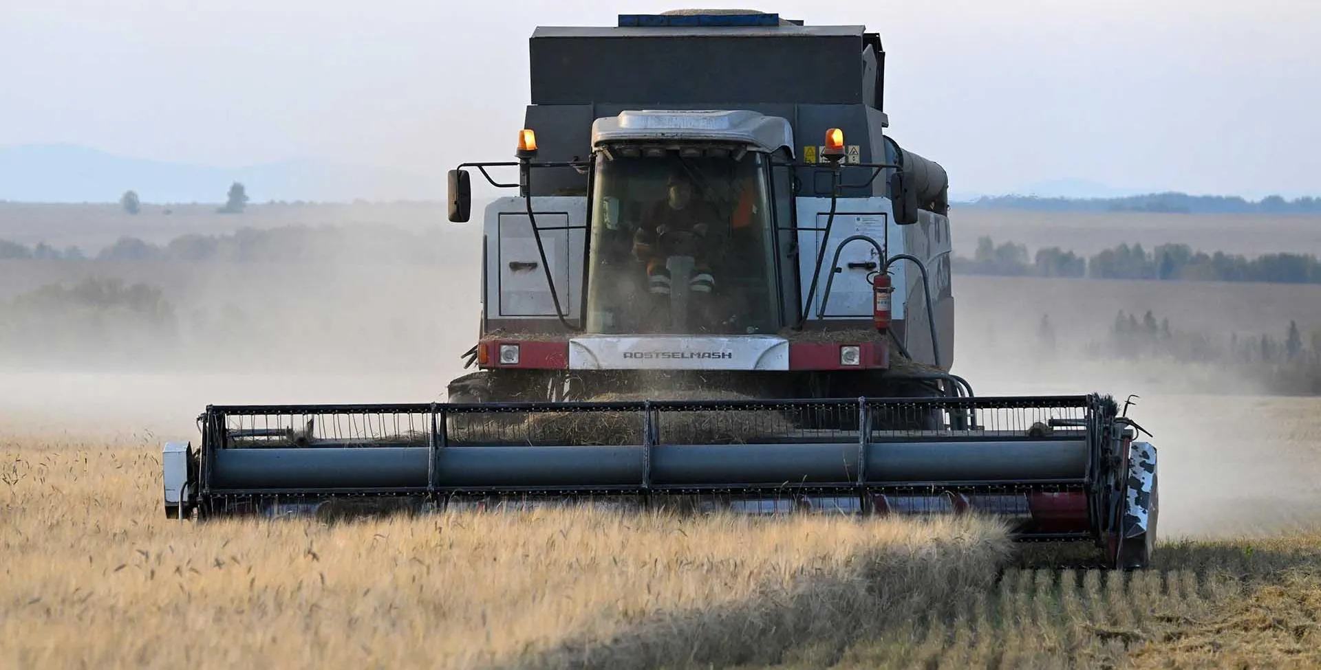 Илья Наймушин/РИА Новости