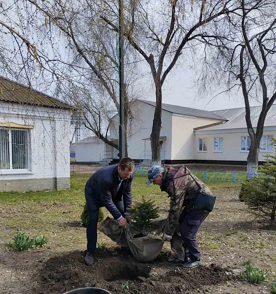 В&nbsp;селе Спасском Самарской области продолжают высаживать деревья