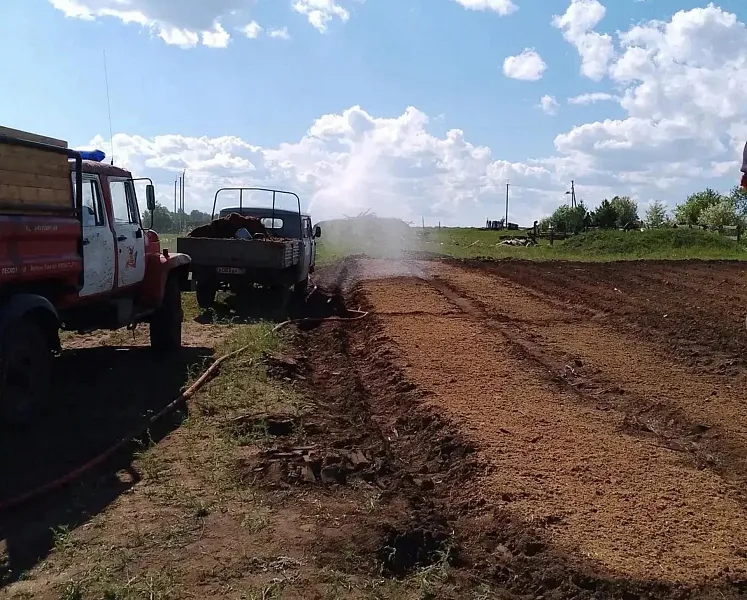 В&nbsp;Тангинском лесничестве в&nbsp;Забайкалье начали выращивать сеянцы