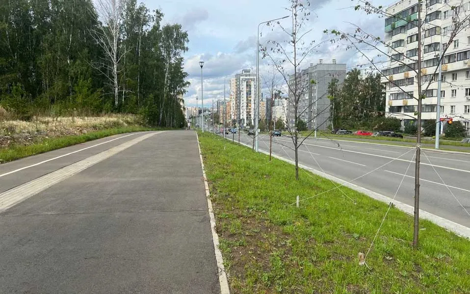 Комитет дорожного хозяйства города Челябинска