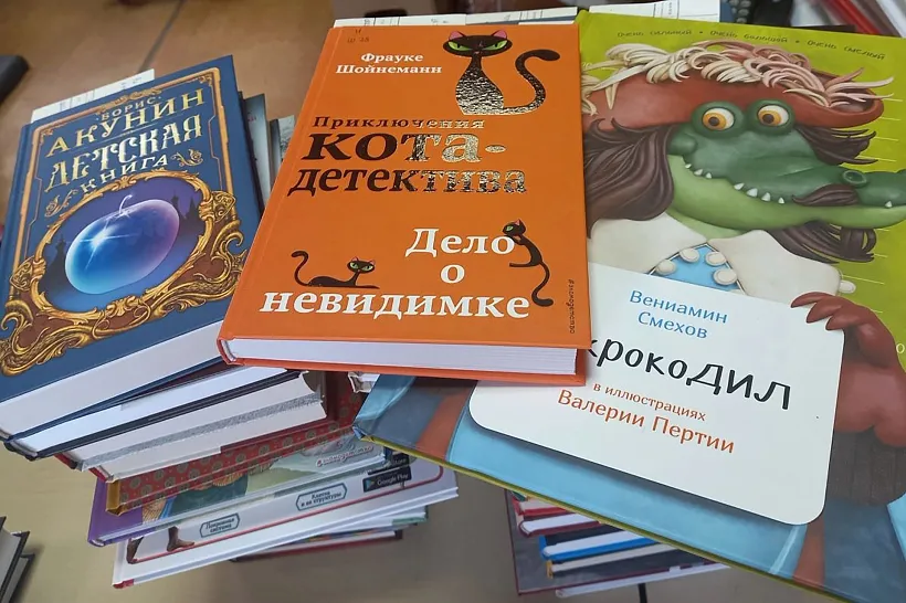 В&nbsp;поселке Муезерском Карелии появится модельная библиотека