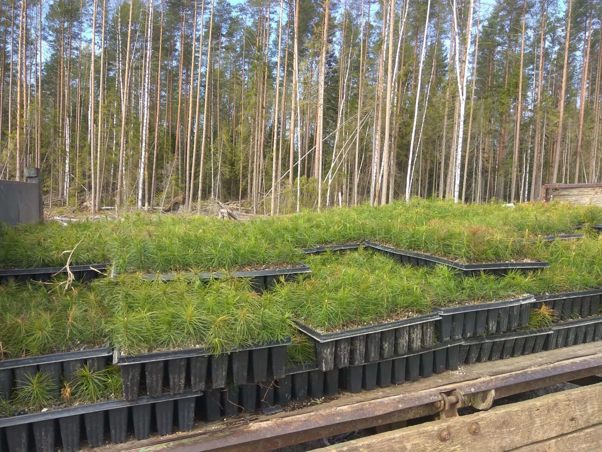 Аппарат Правительства Тверской области