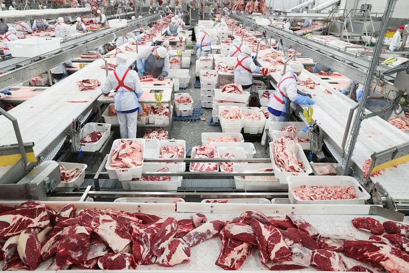 Крупный производитель мяса начнет применять бережливые технологии