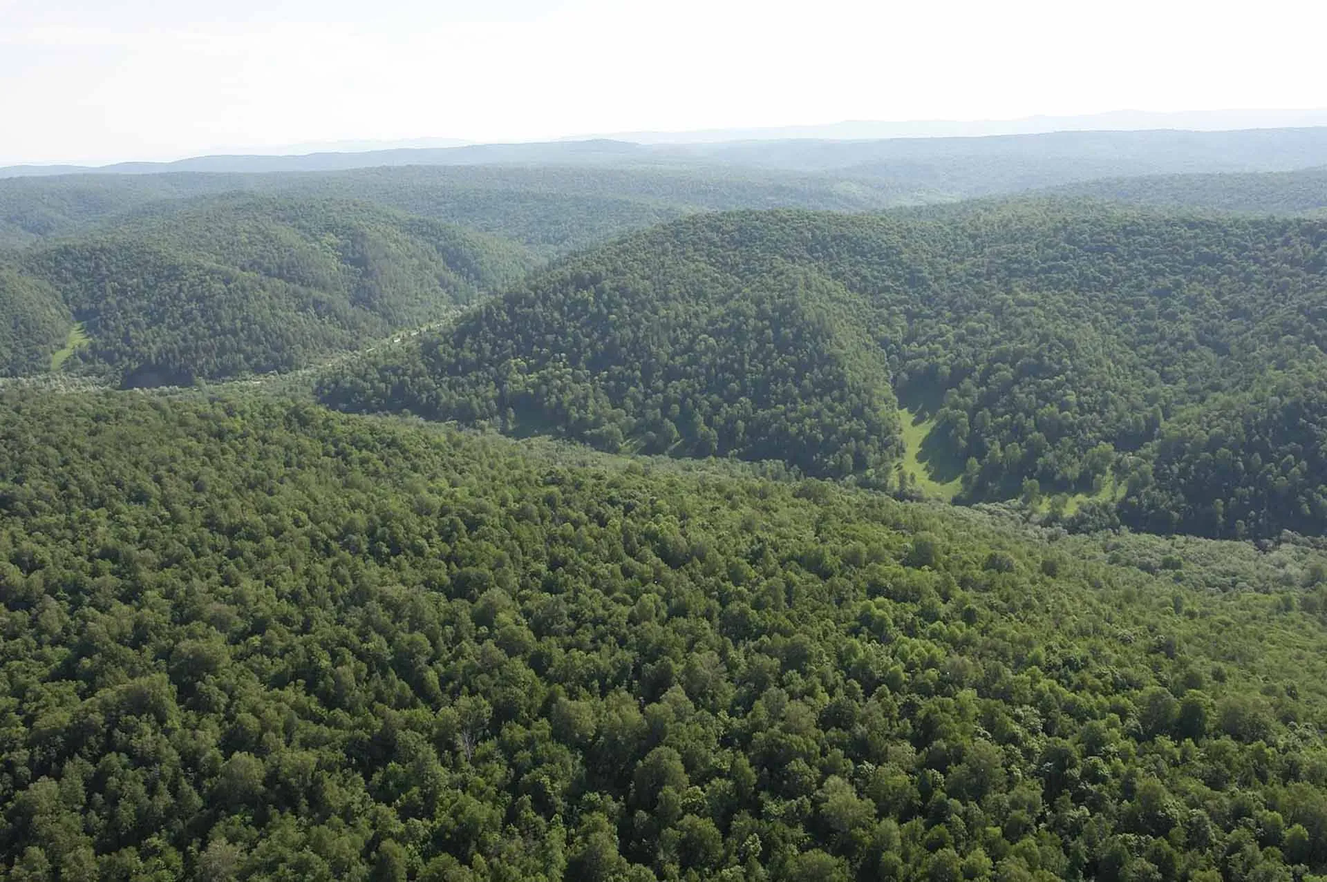 Министерство лесного хозяйства Республики Башкортостан