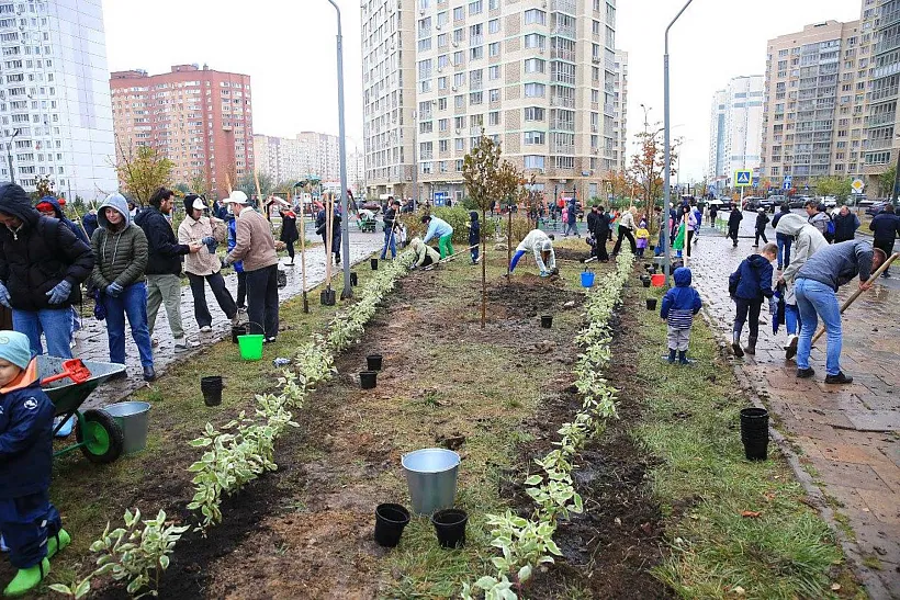В&nbsp;лесах Московской области высадили почти 20&nbsp;млн деревьев за&nbsp;10&nbsp;лет