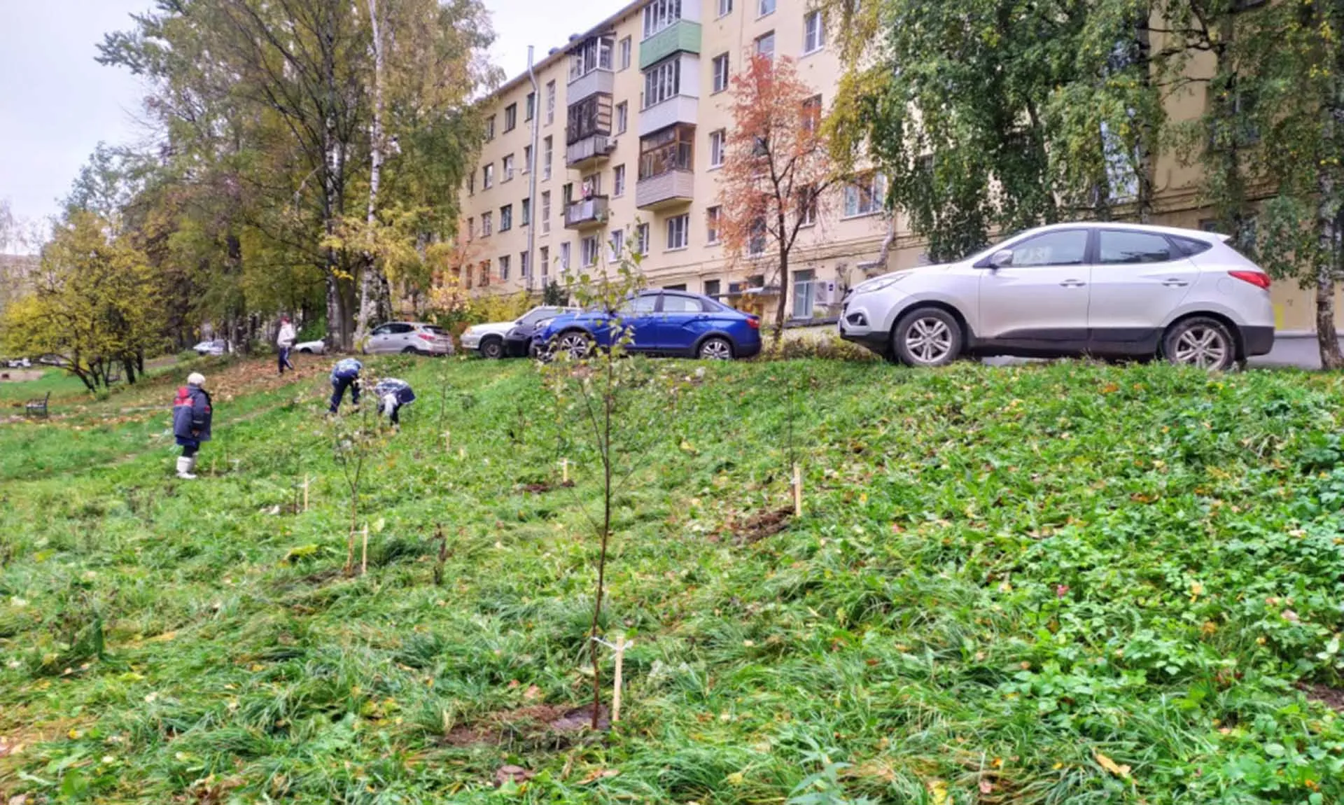 Департамент информационной политики, анализа и развития коммуникационных ресурсов Костромской области