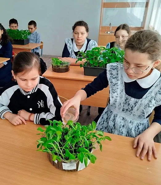 Школьникам из&nbsp;села Шулганово в&nbsp;Башкирии рассказали, как&nbsp;выращивать цветы