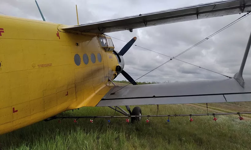 Волгоградская область одна из&nbsp;первых завершила обработку леса от&nbsp;вредителей