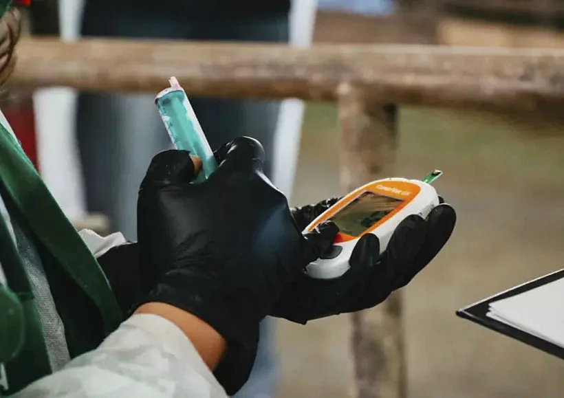 Студенты ветакадемии начали проходить практику на&nbsp;ферме в&nbsp;Подмосковье