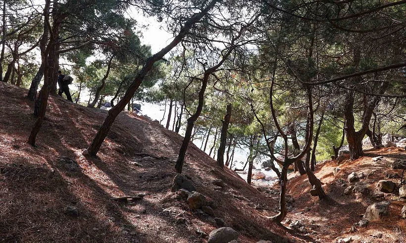 В&nbsp;Севастополе с&nbsp;1&nbsp;апреля стартовал пожароопасный сезон