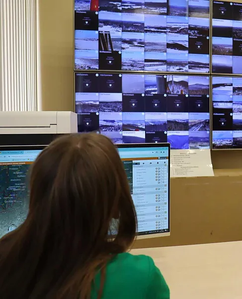 В&nbsp;Красноярском крае установят 11&nbsp;камер слежения за&nbsp;обстановкой в&nbsp;лесах