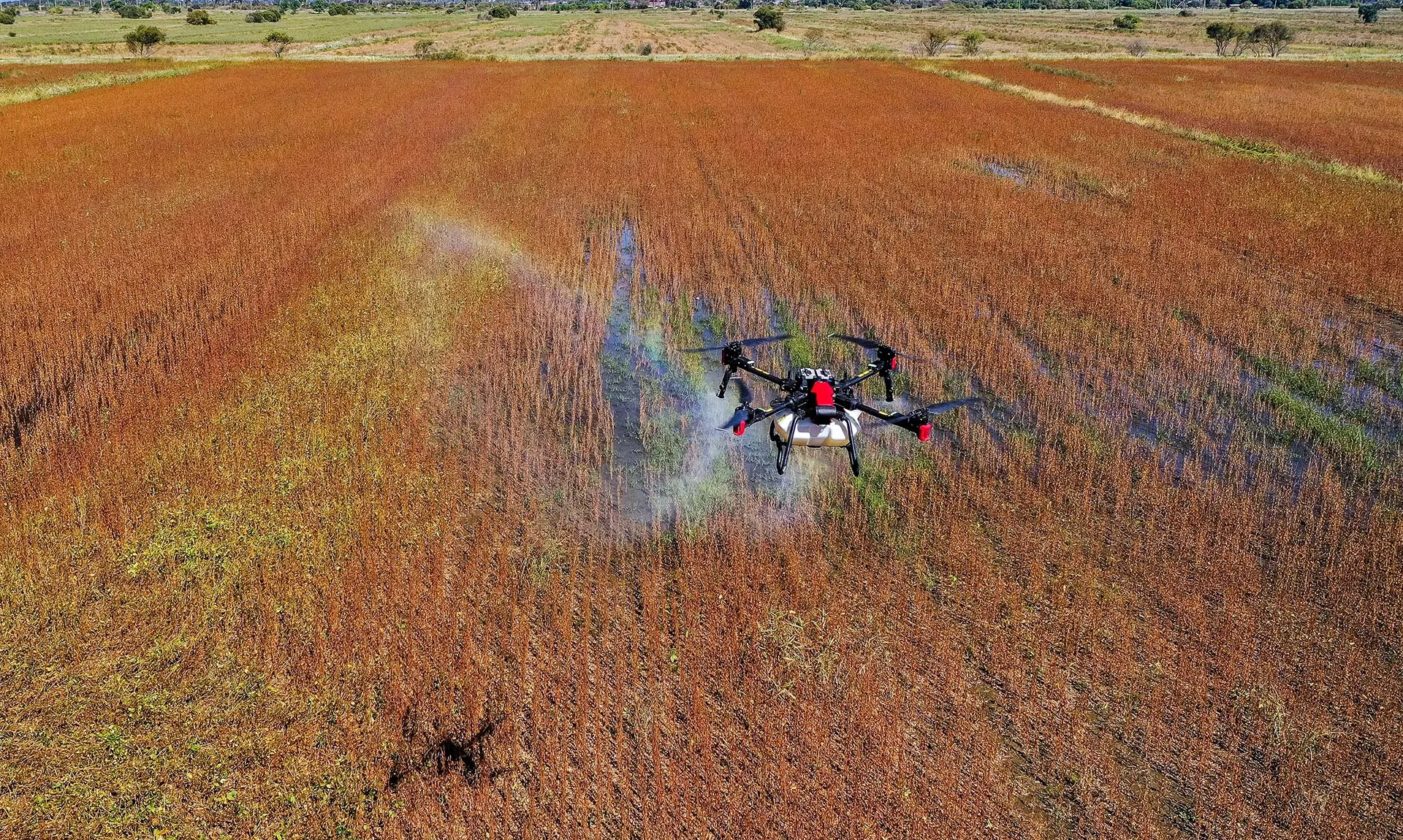 Юрий Смитюк/ТАСС