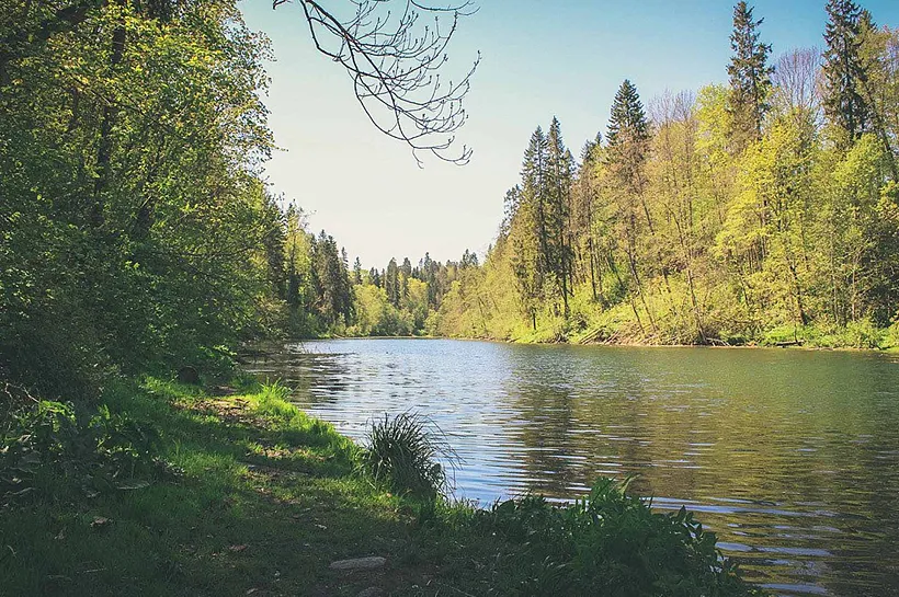 В&nbsp;Ломоносовском районе Ленобласти создали охранную зону у&nbsp;памятника природы