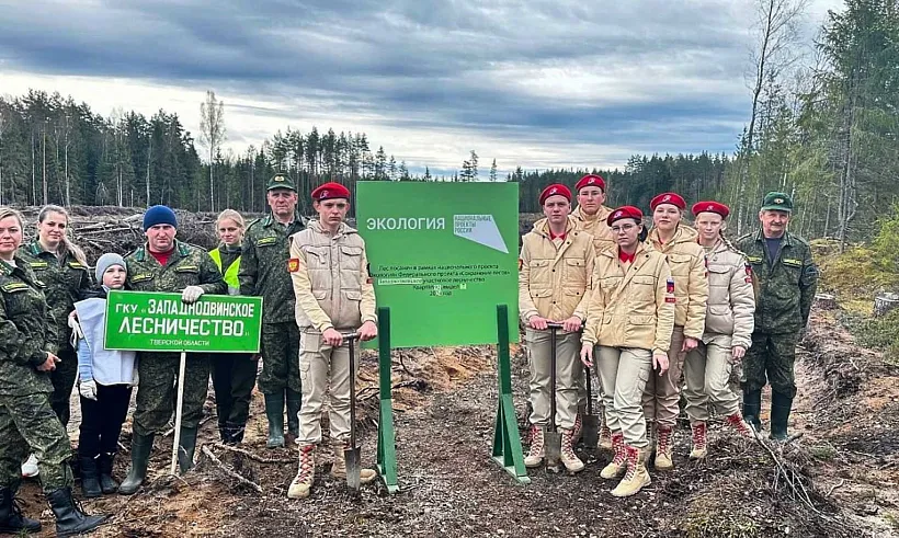 В&nbsp;Тверской области за&nbsp;шесть лет восстановили свыше 114&nbsp;тысяч гектаров леса