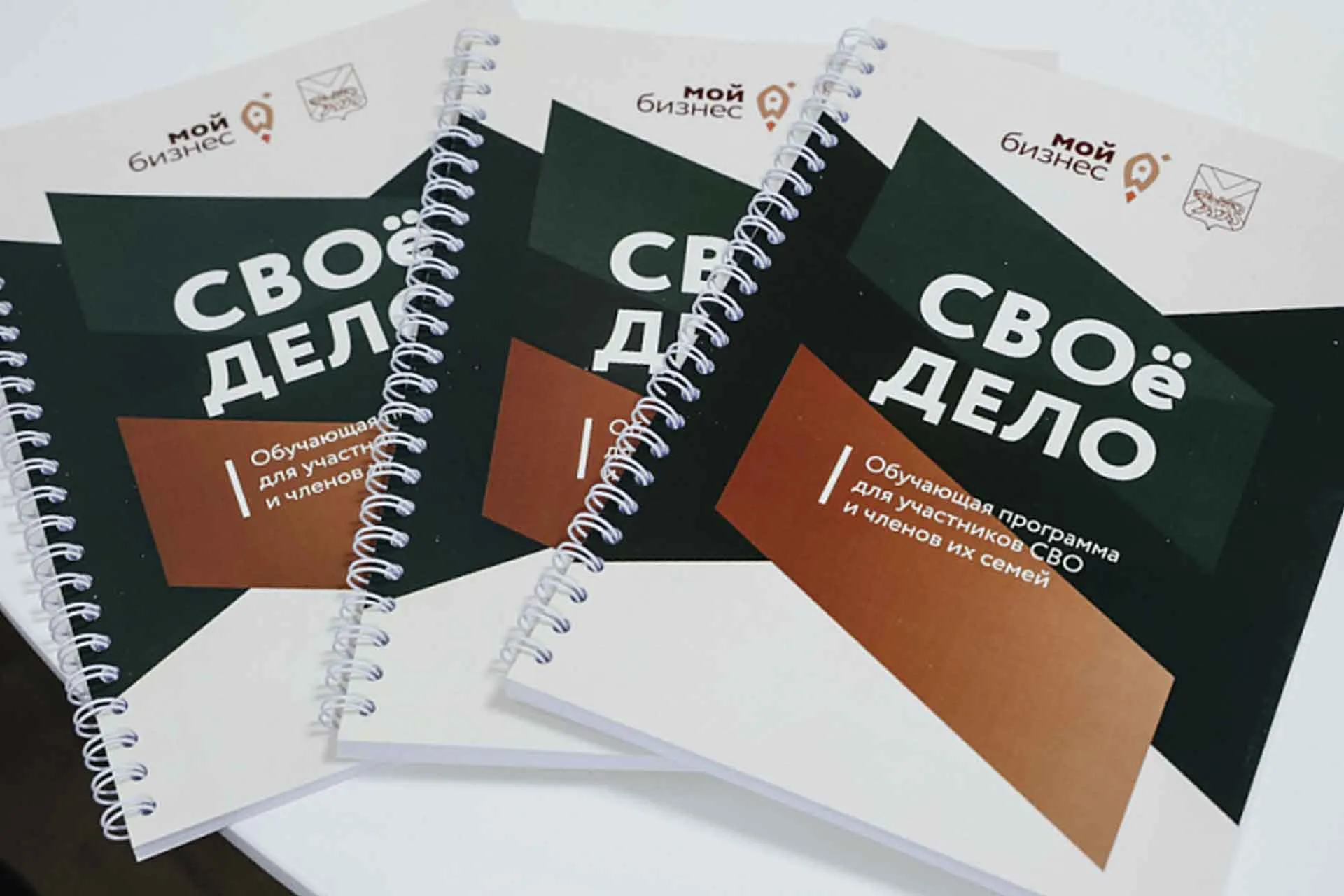 Агентство проектного управления Приморского края (РПО)