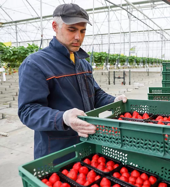 В&nbsp;Башкирии за&nbsp;год число субъектов МСП выросло почти на&nbsp;5%