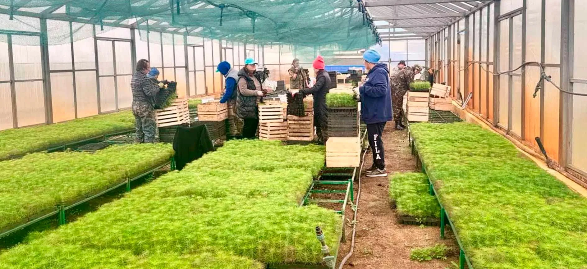 Республиканское агентство лесного хозяйства