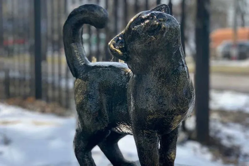 В&nbsp;Выксе Нижегородской области благоустроили территорию лесопосадки
