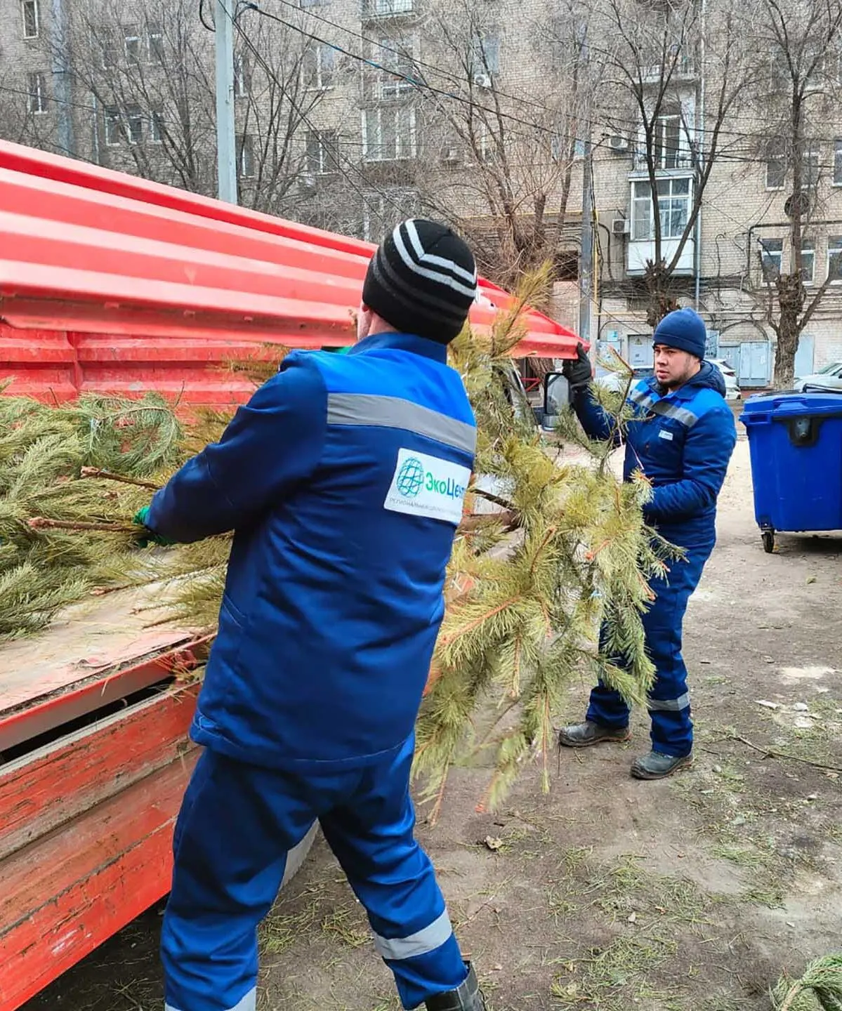 В&nbsp;Волгоградской области завершилась акция &laquo;Елки-щепки&raquo;