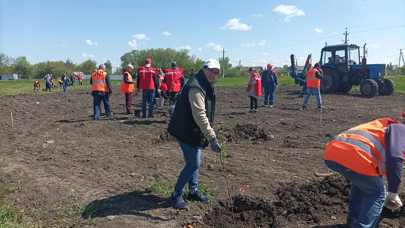 В&nbsp;поселке Поныри Курской области высадили молодые деревья