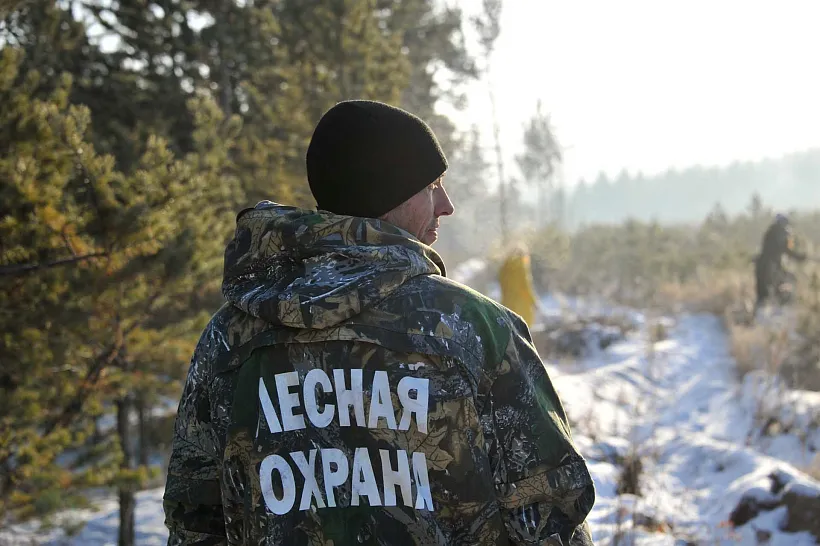 В&nbsp;Шатойском районе Чечни прошли рейды против вырубки хвойных деревьев