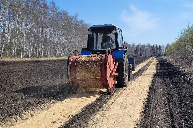 В&nbsp;Омской области приступили к&nbsp;посеву семян в&nbsp;питомниках