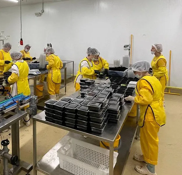 Подмосковный дистрибьютор икорной продукции улучшит производительность