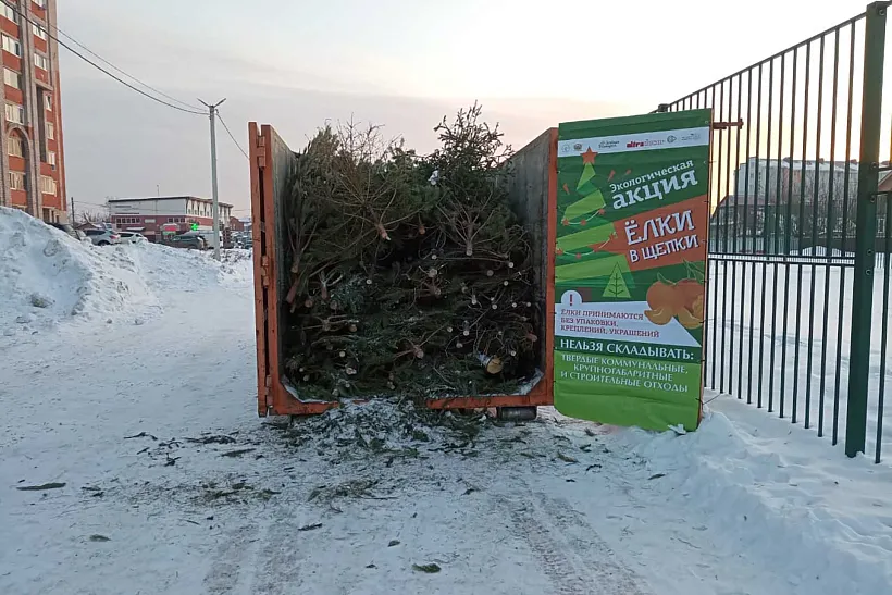 В&nbsp;ходе акции &laquo;Елки в&nbsp;щепки&raquo; в&nbsp;Уфе собрали около 2&nbsp;тыс. новогодних деревьев