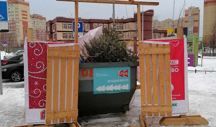 В&nbsp;подмосковном Воскресенском кластере подготовят площадки для&nbsp;сбора елок