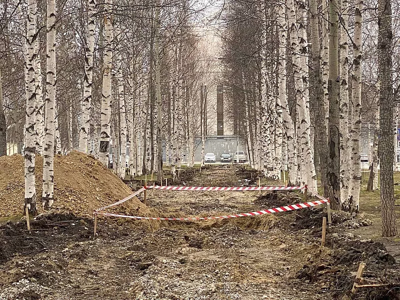 В&nbsp;Нижневартовске приступили к&nbsp;созданию Аллеи Памяти