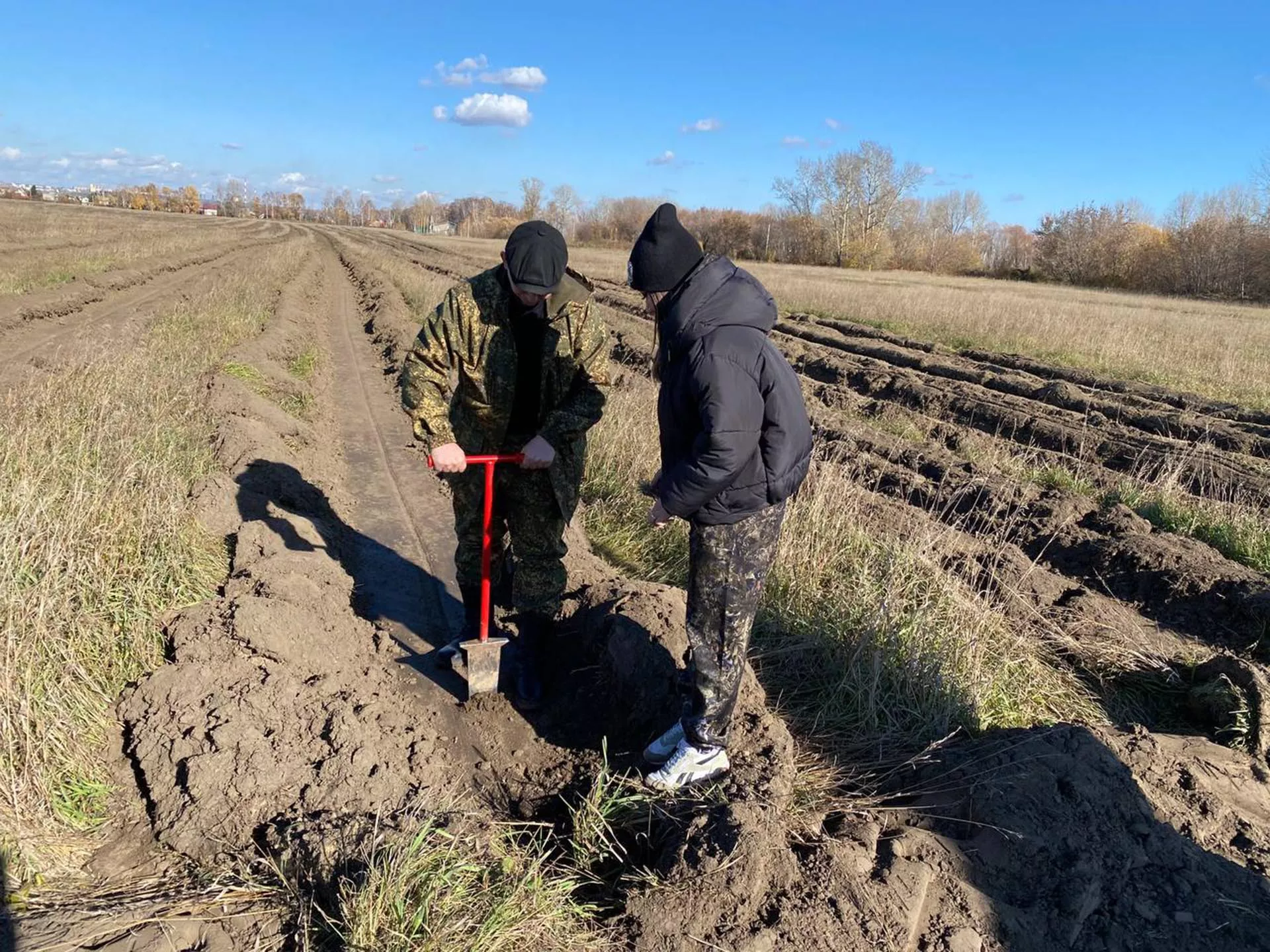 На&nbsp;берегу Оби под&nbsp;Новосибирском высадили хвойный лес