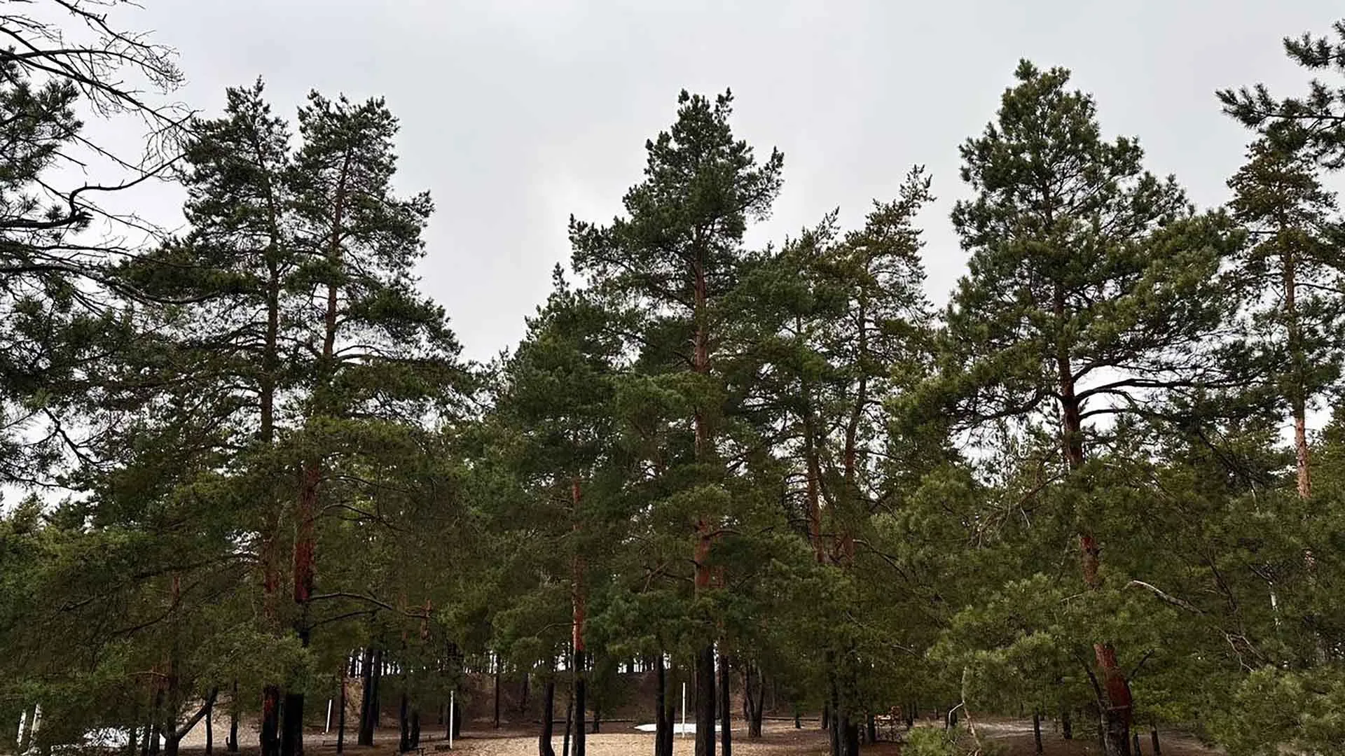 Министерство информации и молодежной политики Московской области