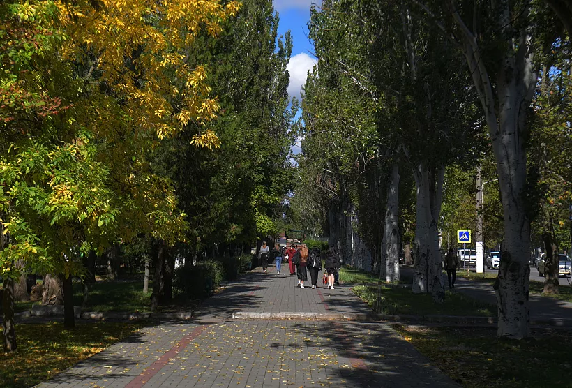 В&nbsp;Красногвардейском районе Санкт-Петербурга приведут в&nbsp;порядок сквер