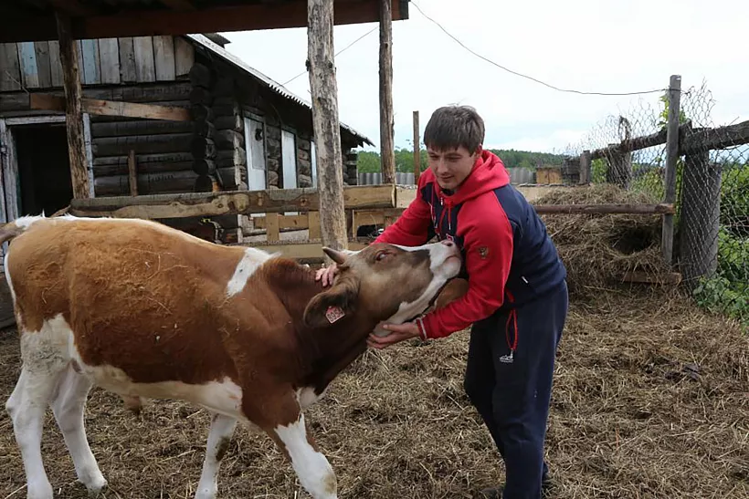 Жители Красноярского края могут получить грант на&nbsp;создание фермы