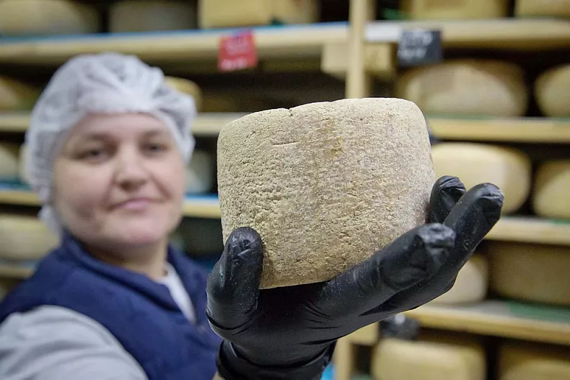 В&nbsp;Татарстане за&nbsp;год число занятых в&nbsp;сфере МСП превысило 780&nbsp;тысяч человек