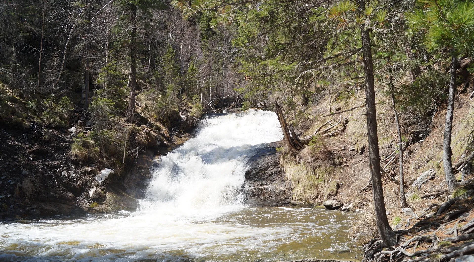 Министерство природных ресурсов и экологии Алтайского края