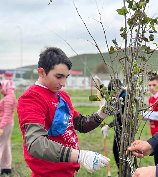 В&nbsp;селе Верхние Ачалуки в&nbsp;Ингушетии высадили около 130&nbsp;деревьев
