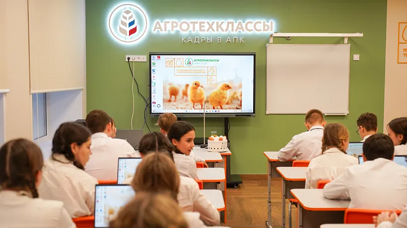 Агротехклассы за&nbsp;год открыли в&nbsp;20&nbsp;школах в&nbsp;Татарстане