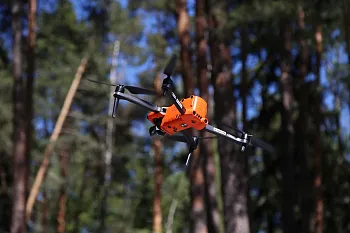 Между небом и&nbsp;листвой: как&nbsp;дроны помогают охранять леса